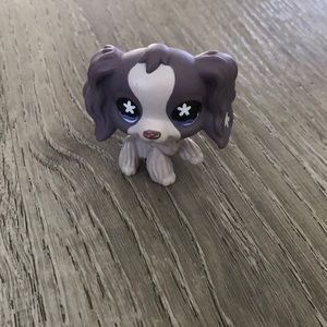 LPS Spaniel purple flower eyes